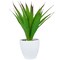 Northlight Potted Artificial Agave Succulent Plant - 13.5"